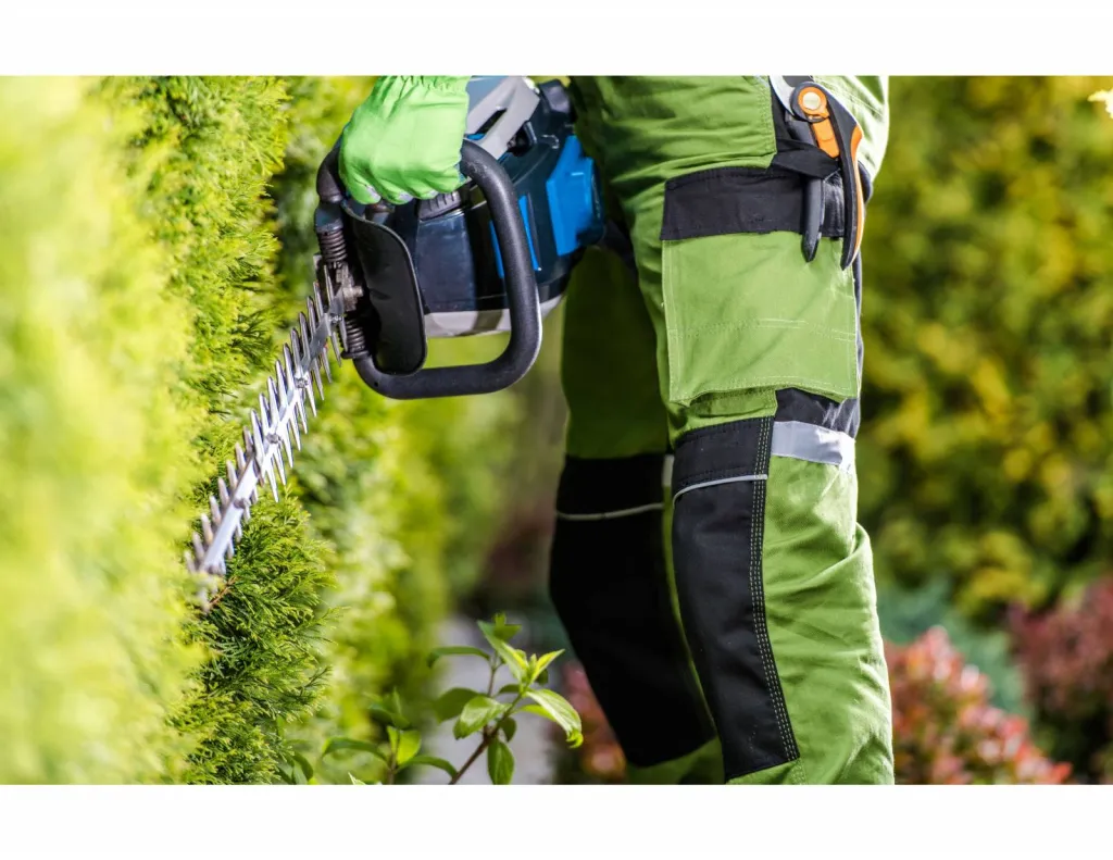 Entreprise d’entretien de parc et jardin à Avignon dans le Vaucluse, pour bénéficier du crédit d'impôt immédiat