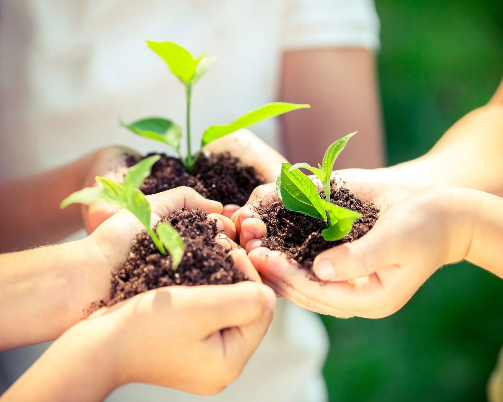 Environnement et économie d'énergie