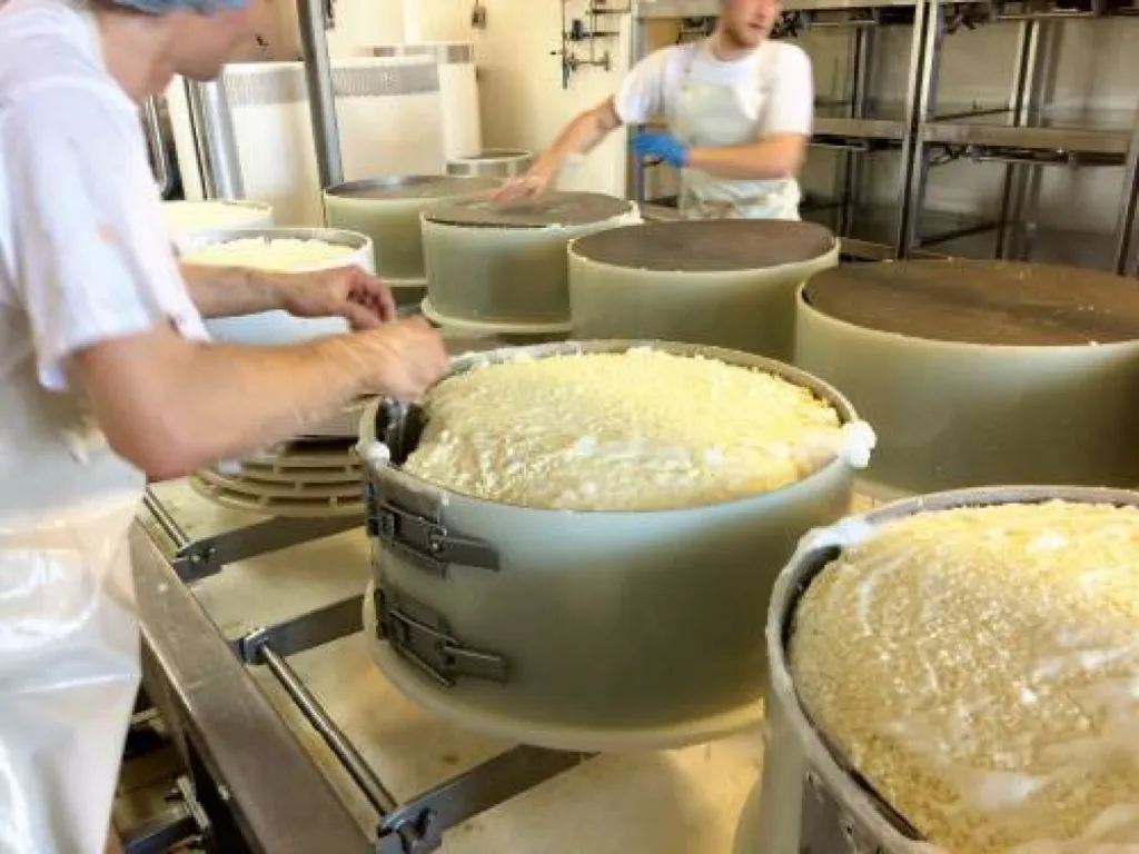 Fabrication artisanale du Gruyère France IGP Bio 