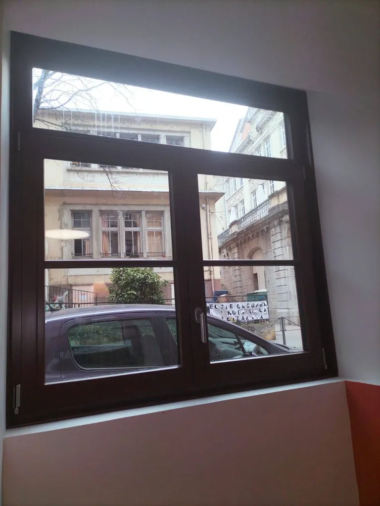 installation de fenêtres en bois exotique à Lyon 