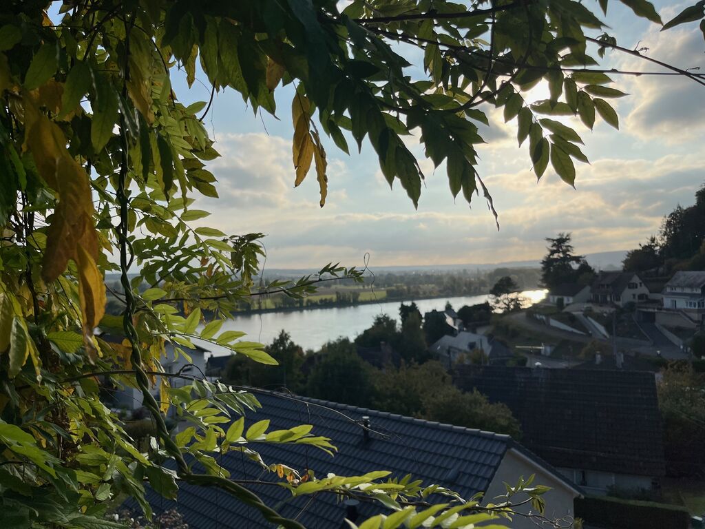 A vendre, maison viable de plain-pied avec pleine vue Seine à Caudebec-en-Caux !