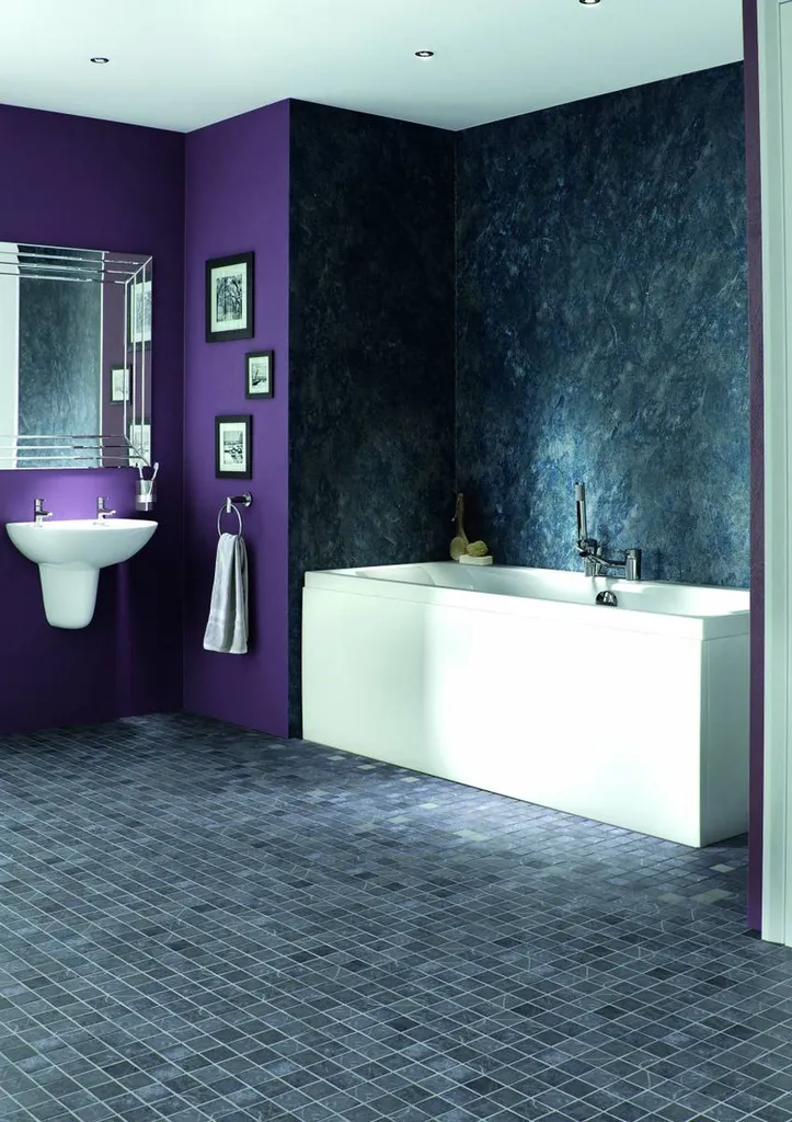 remplacement baignoire par douche senior verdun marne grand est