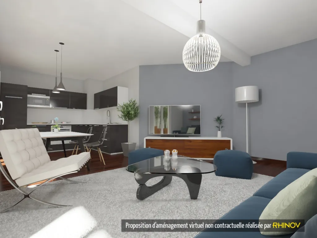 sejour appartement T3 La thibaudiere Lyon 7