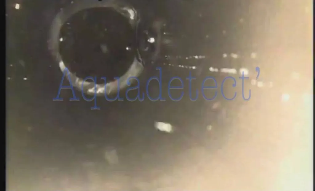 Recherche de fuite extérieur par passage caméra dans le 13