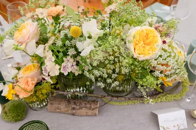 thème mariage vert sauge