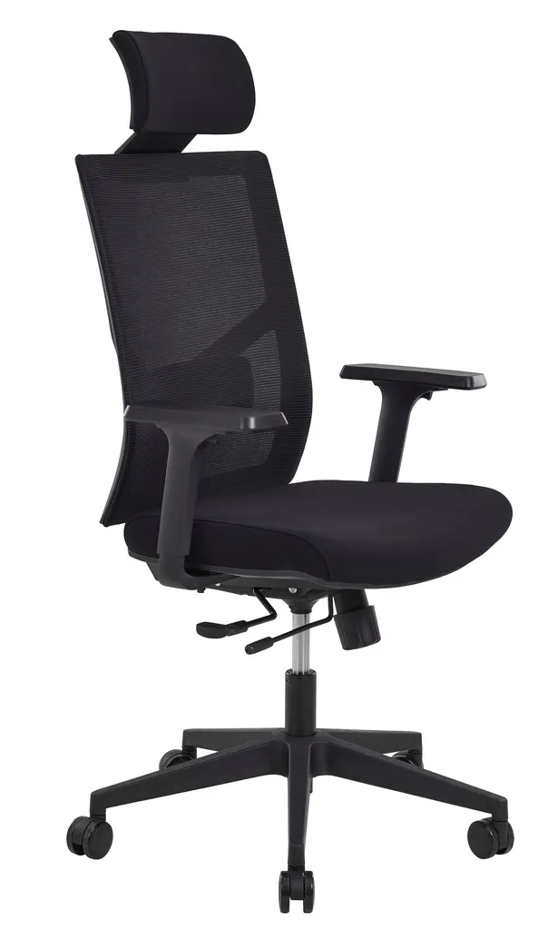Fauteuil ZACK avec accoudirs réglables Nîmes