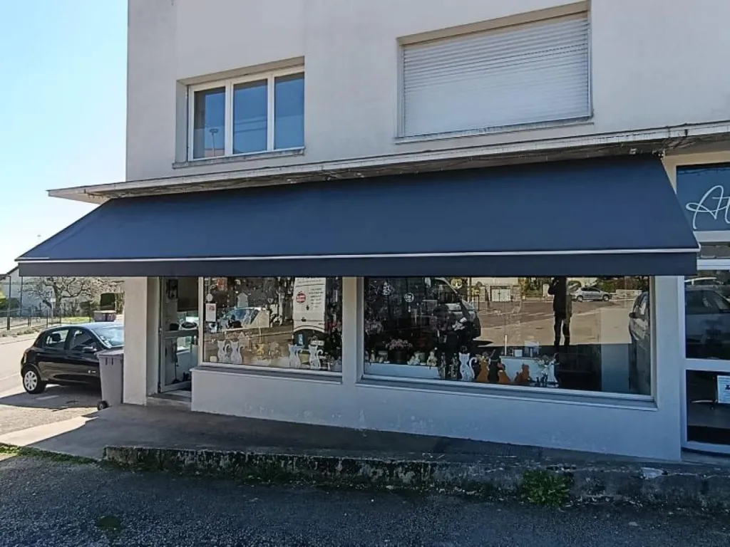 Installation d'un store d’extérieur Banne Super 2 motorisés avec toile Orchestra sur mesure à Fontaine-lès-Dijon en Côte d'Or