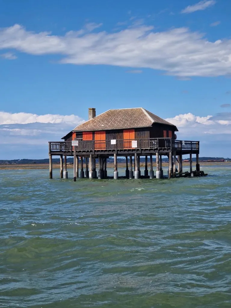 Balade en bateau privatisé sur le bassin d'Arcachon