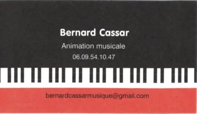 animation mariage les salons de laure (13)