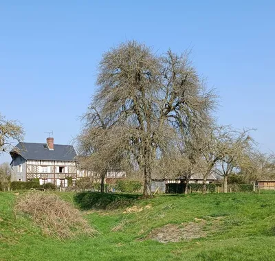 Rare à la vente, Ancien Corps de Ferme avec dépendances, installées sur presque 13 hectares de terres, dans la région de Blangy Le Château 14130