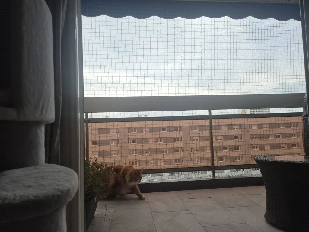 filet anti chute pour chat vitrolles