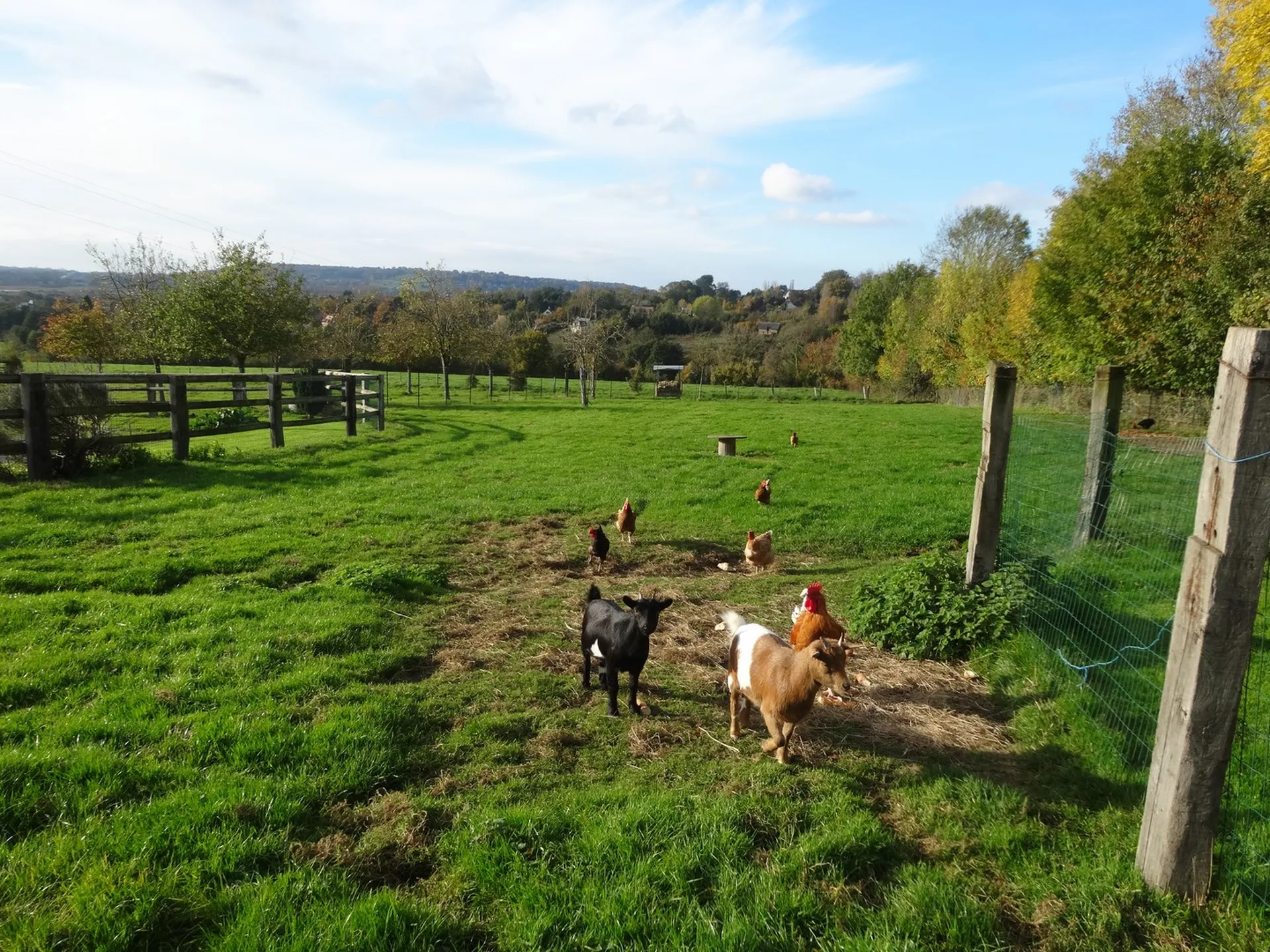 Terres et Demeures de Normandie 14
