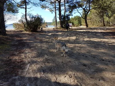 Balades Educatives sur la région bordelaise et le Bassin d'Arcachon.