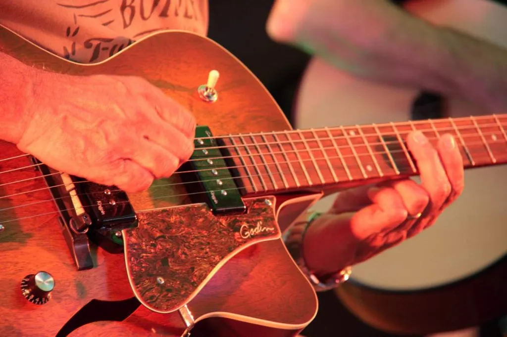 cours de guitare debutant 13380 plan de cuques