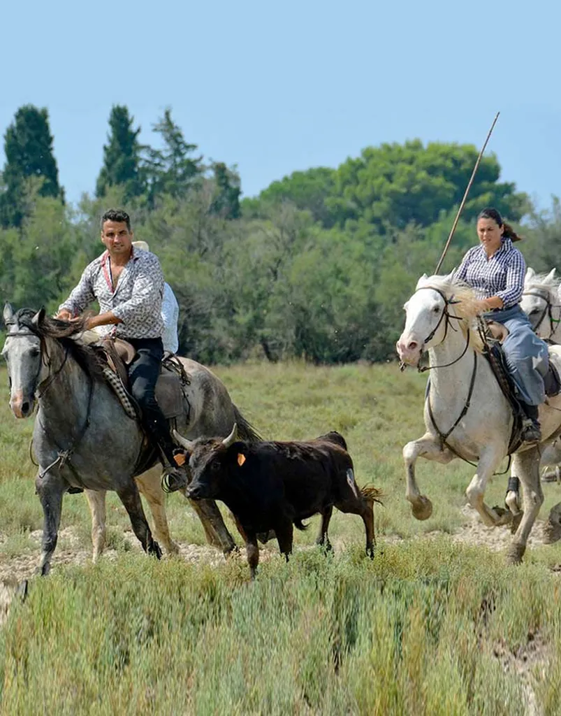Excursions et circuit safari en 4x4 en famille, amis ou groupe  à la découverte de la Grande Motte