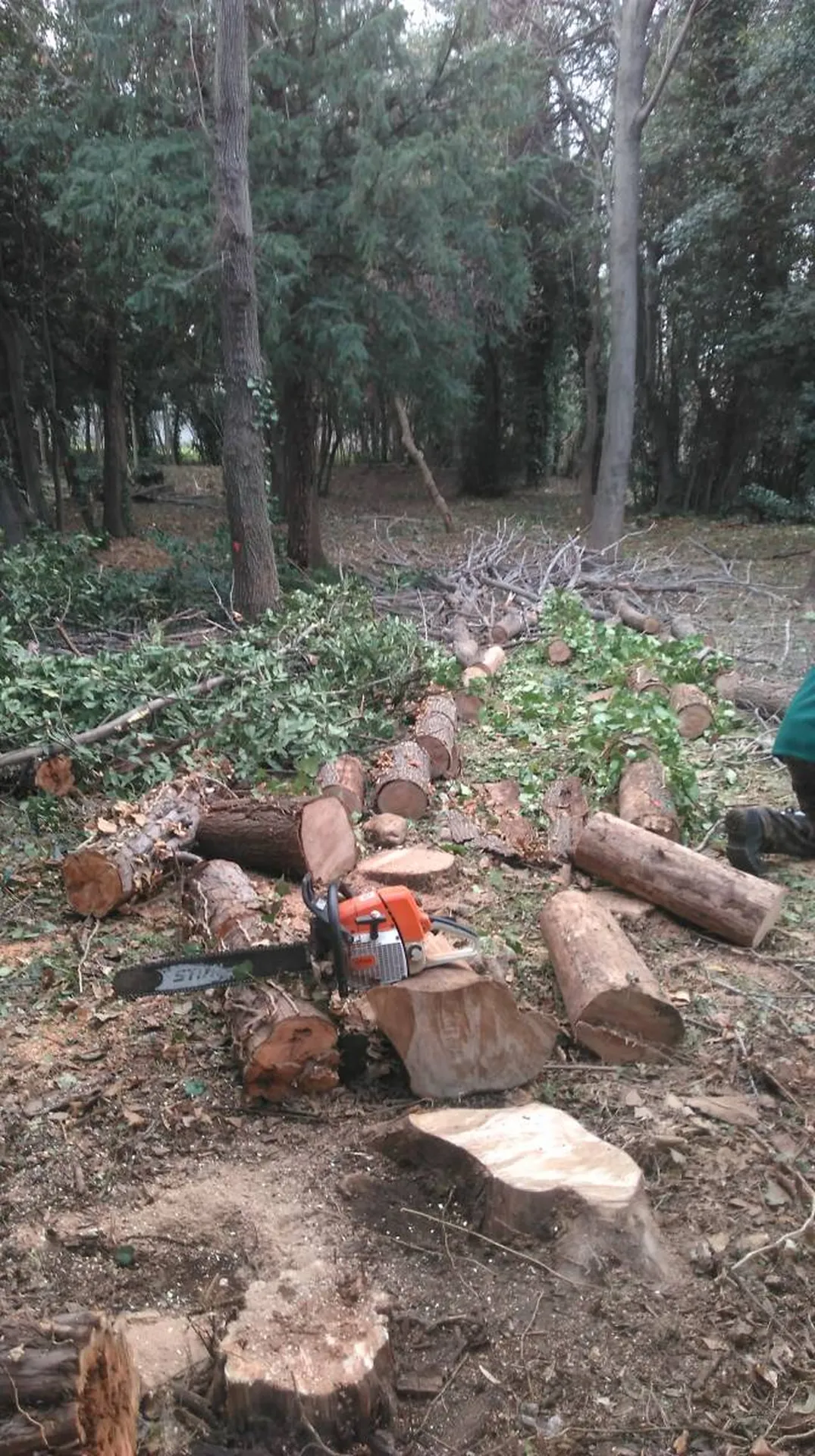 dépressage marseille