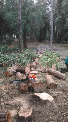 dépressage marseille
