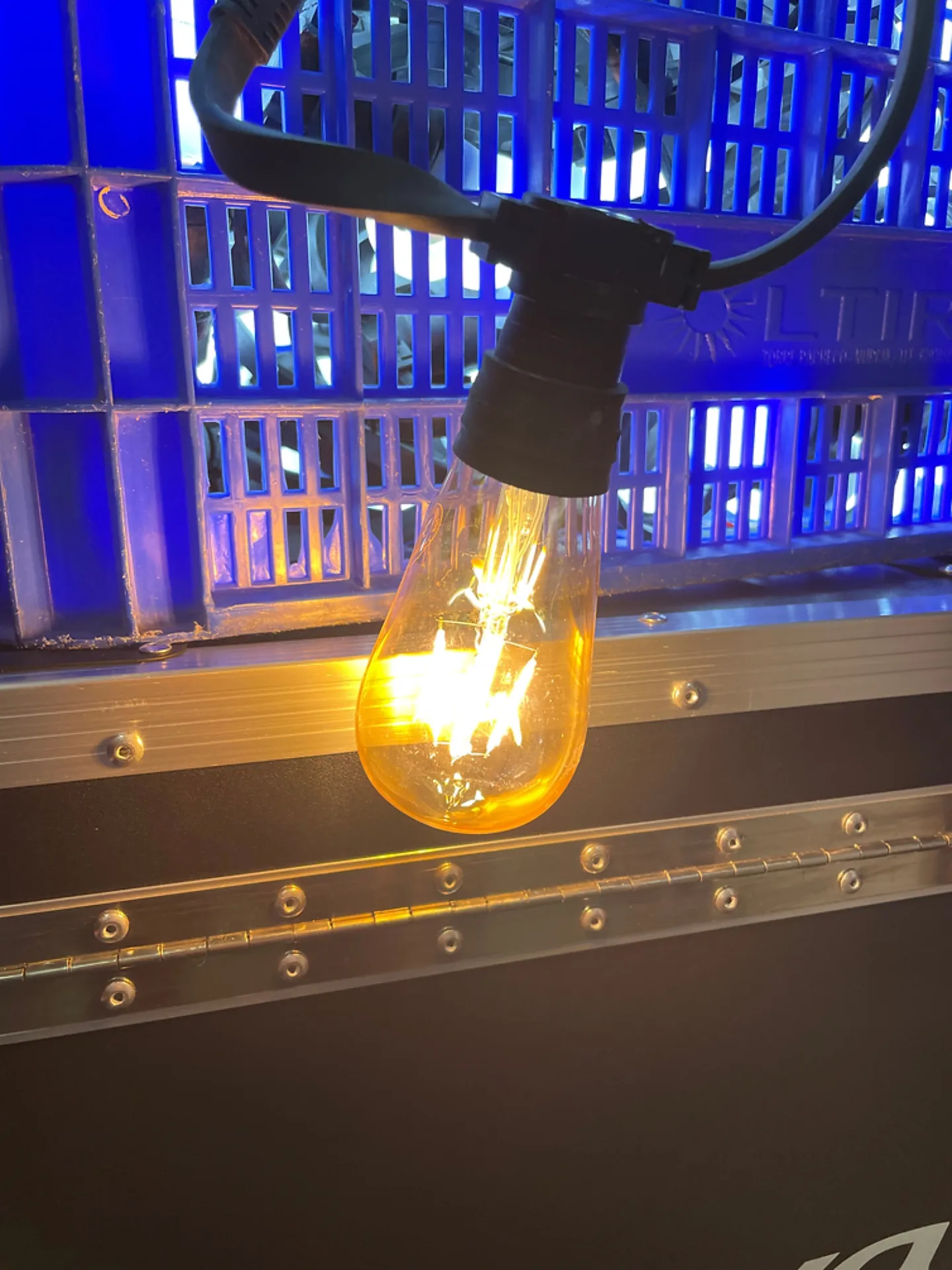 location ampoule led rétro pour guirlandes leds à hyeres dans le var