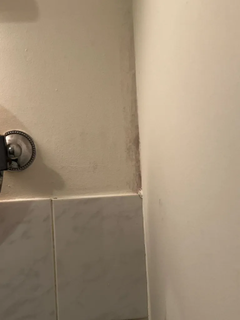 Rénovation d'une salle de bains suite à un dégât des eaux dans un appartement situé en centre ville du Havre 76