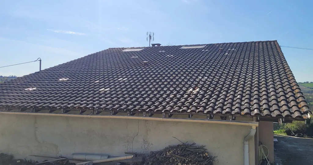 Avant / 1 an Apres traitement par drone Servi-Drones