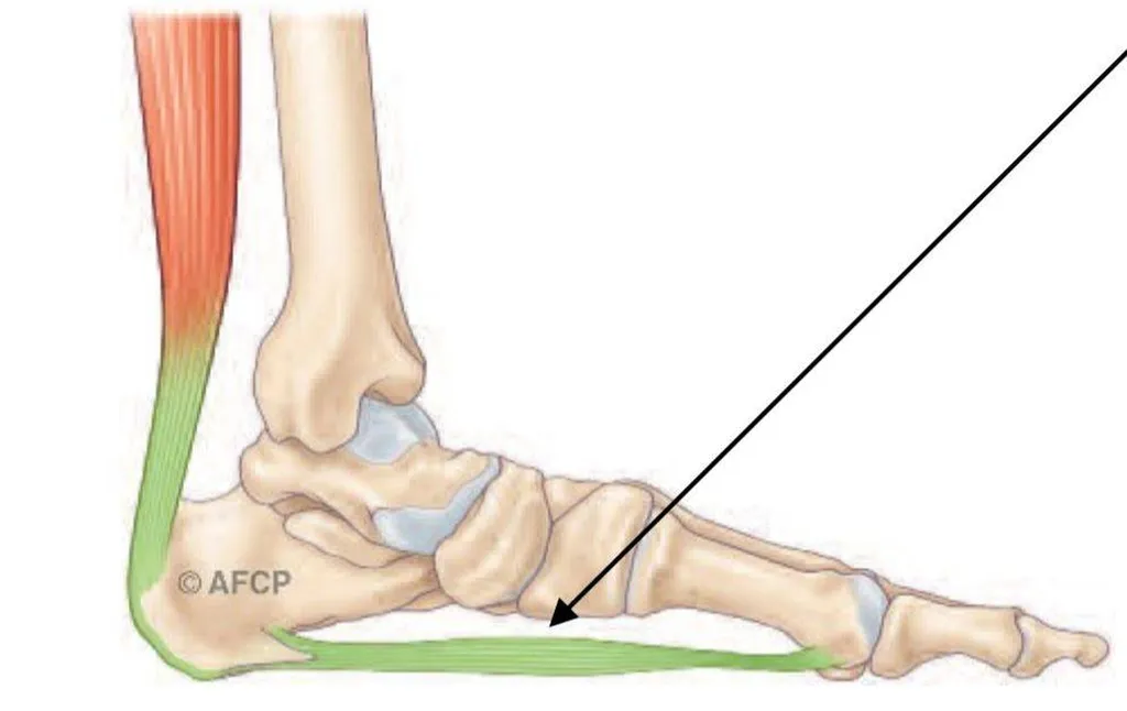 Docteur Julien Beldame, chirurgien orthopédiste, exclusif Pied Cheville, Fondateur de l'Institut de la Cheville et du Pied à Amiens (ICP Amiens), consulte à l'ICP Paris