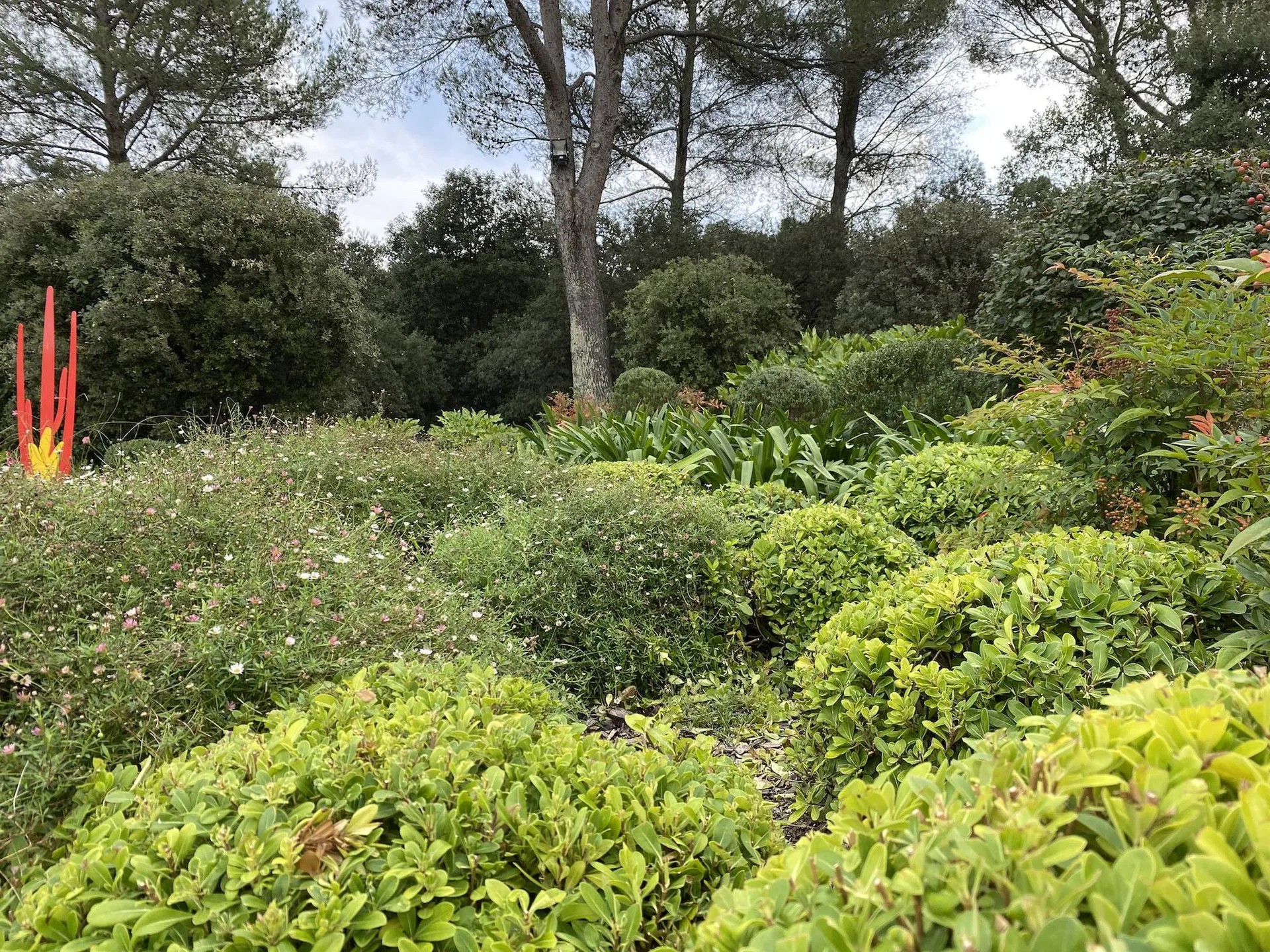 entreprise de services paysagers professionnels dans les alpilles