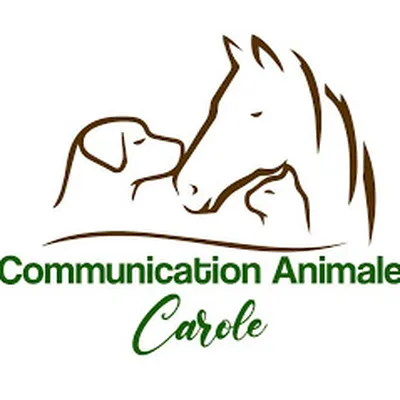 Formation communication animale à Lyon