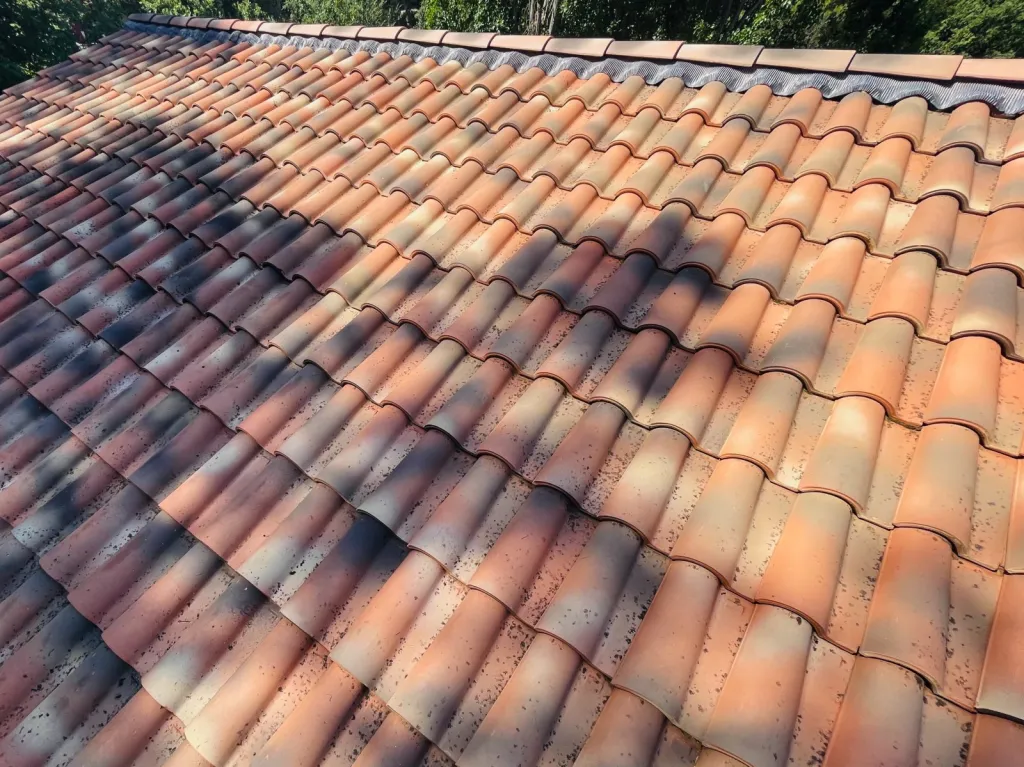 démoussage de toiture Bouc-Bel-Air 13320