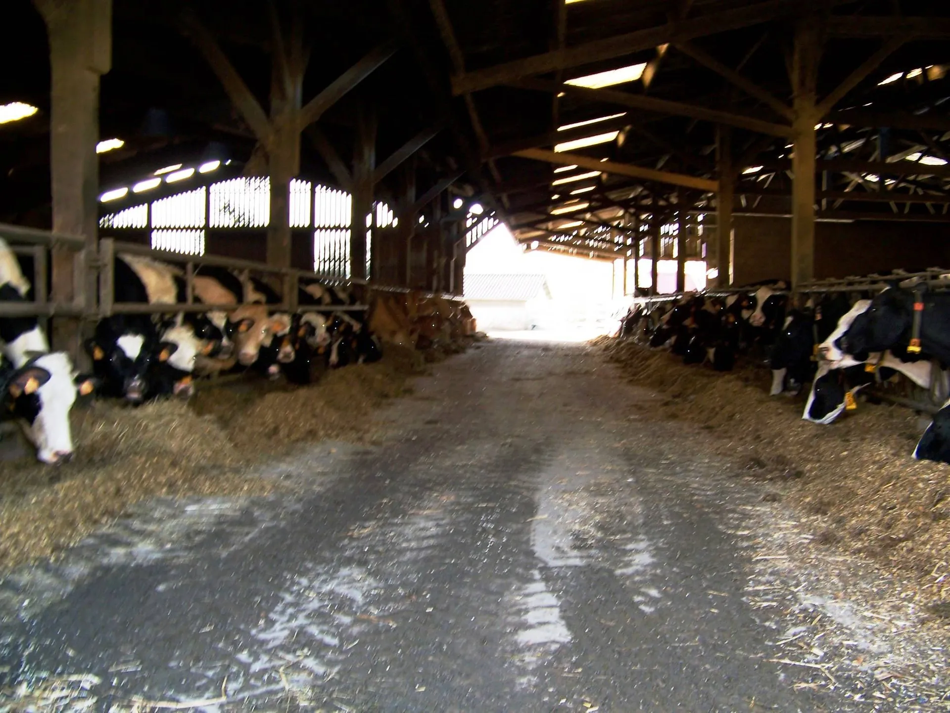 A vendre, exploitation agricole de polyculture élevage sur une surface d'environ 132Ha.