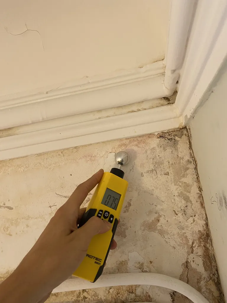 Nos prestations sur le secteur deTours proche de Blois 37