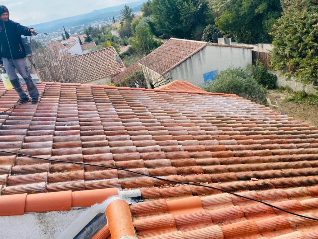 pose nettoyant de toiture sur chateauneuf les martigues