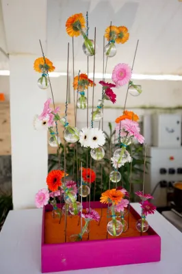 Wedding planner Pays Basque