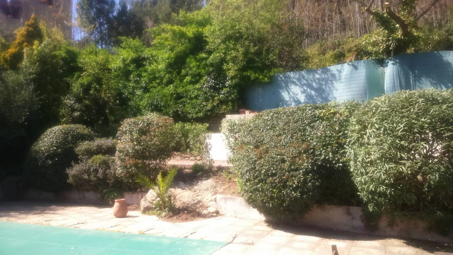 Jardinier à Marseille pour entretien de jardin à domicile chez les particuliers