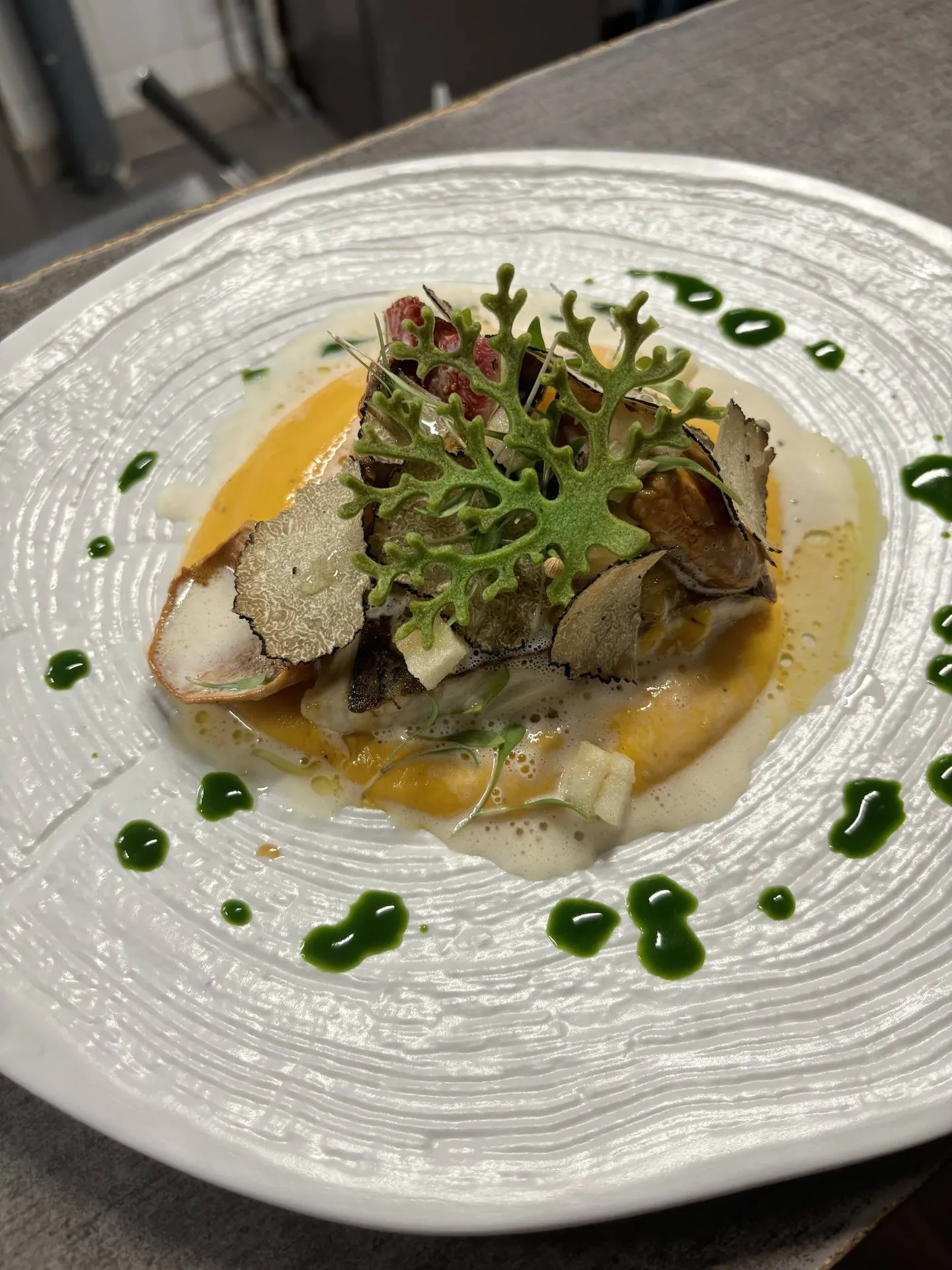 La Chronique de la Semaine n°5 - Le Filet de Sériole d'Aurélien Nourry