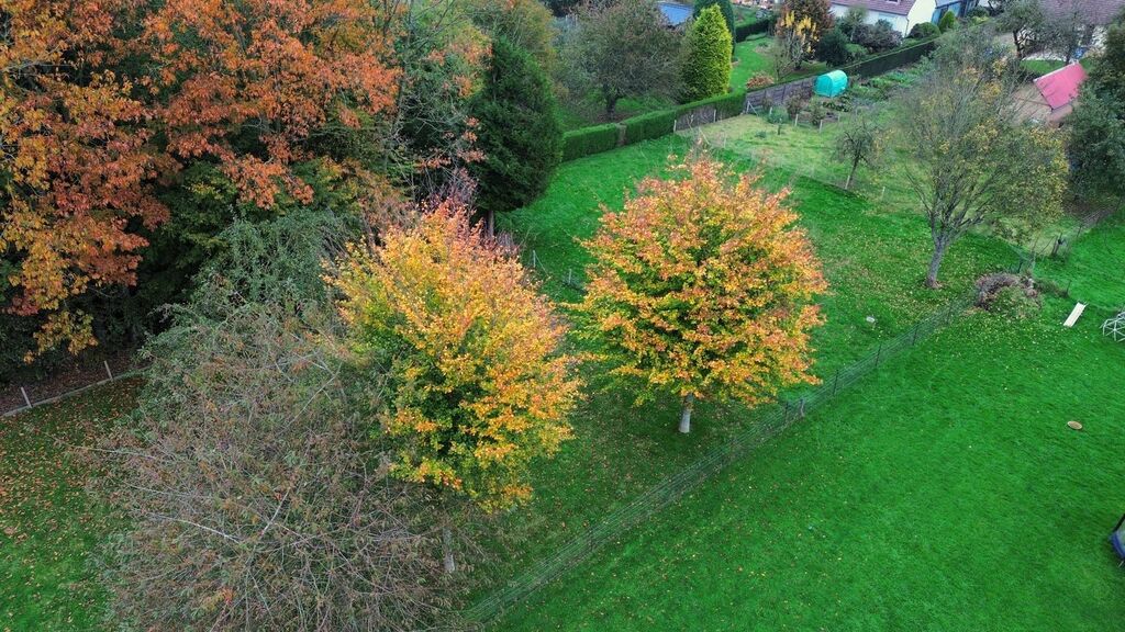 A vendre, terrain au centre de Bosc-le-Hard