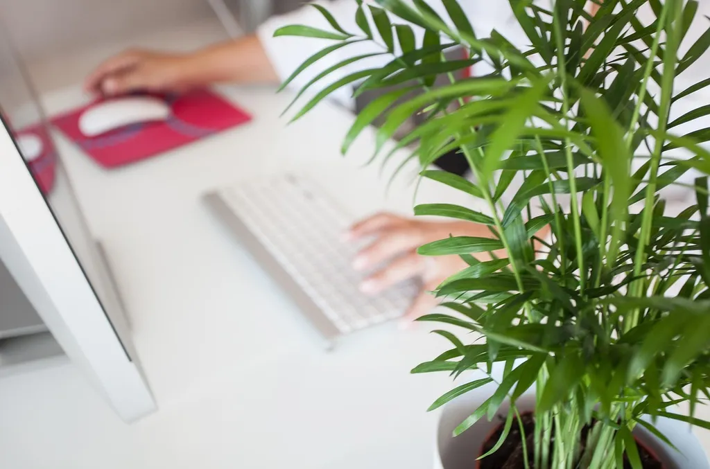 Télétravail à Albi : des espaces repensés pour allier confort et productivité