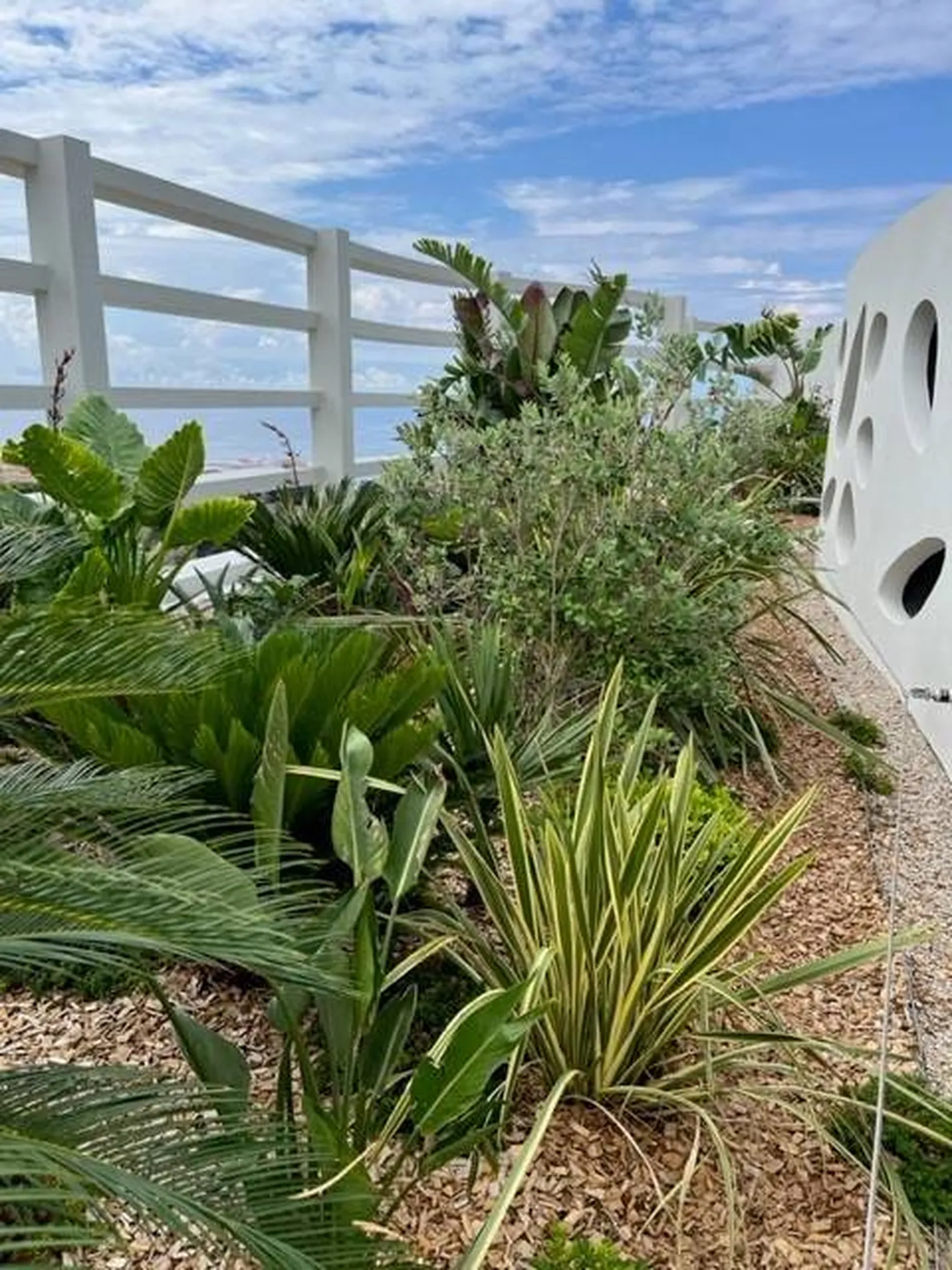 Aménagements Paysagers - Palais HONORIA