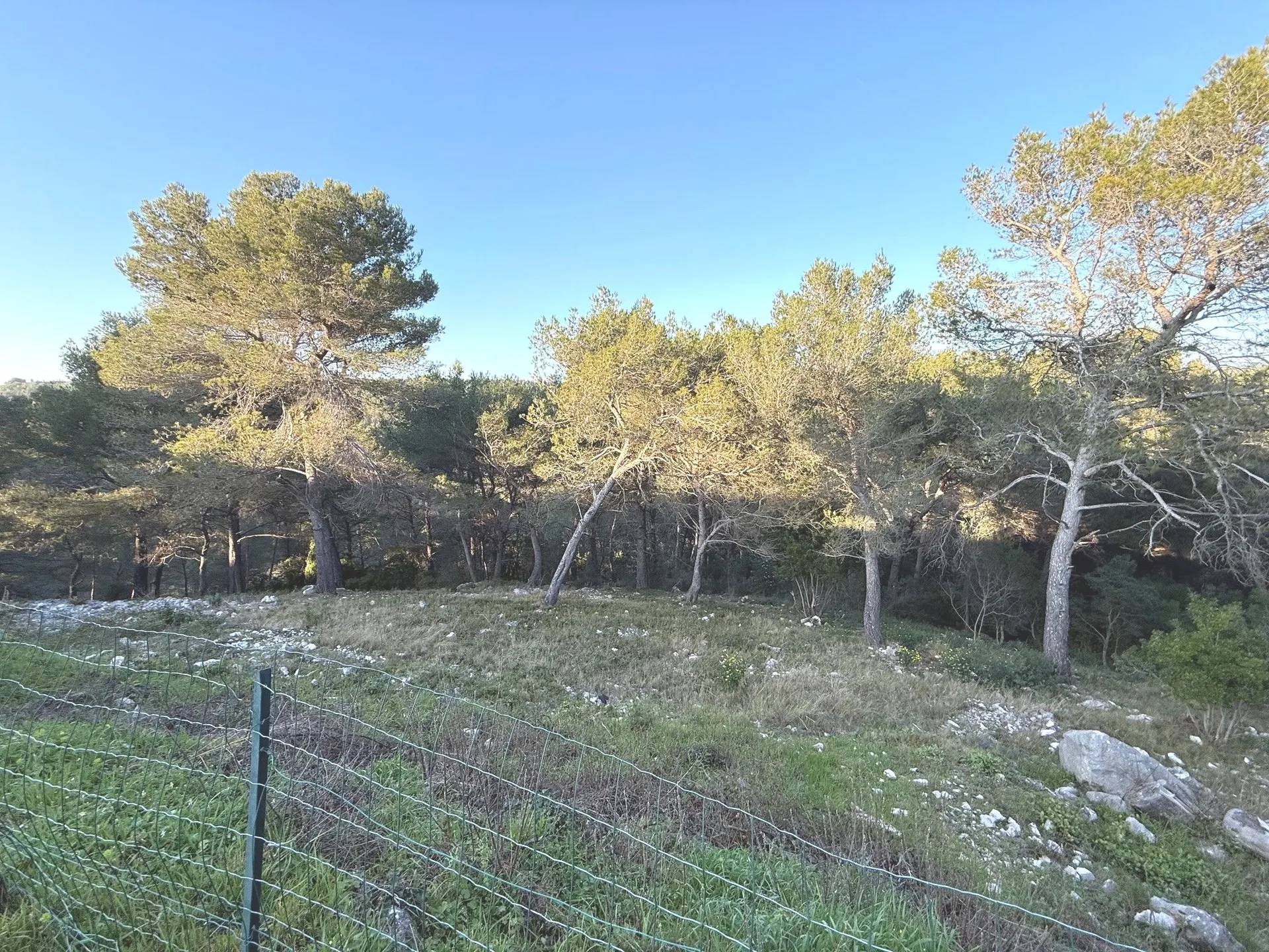 environnement calme et boisé