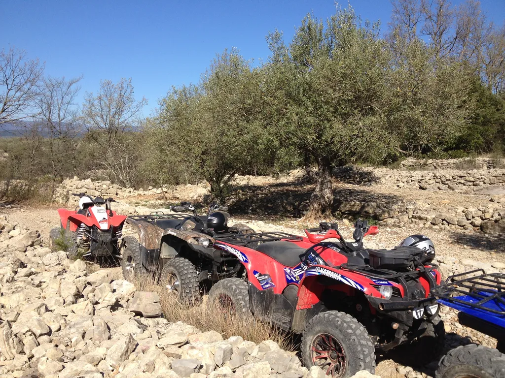 sur votre DOMAINE VITICOLE en provence pour vos clients