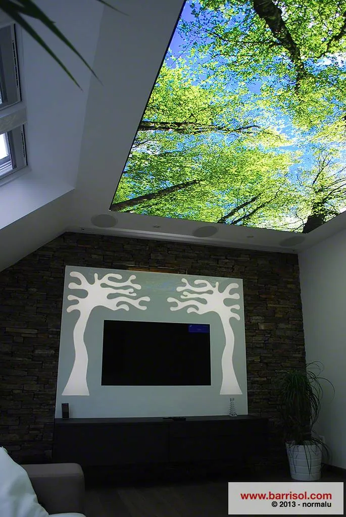 Le plafond tendu BARRISOL lumineux et imprimé avec le motif de votre choix Toulouse