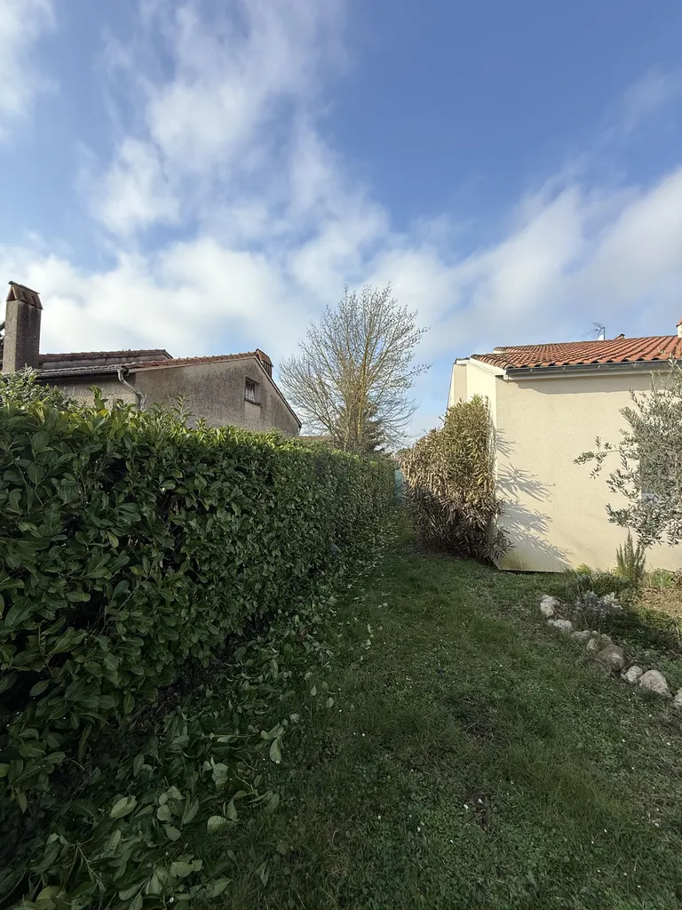 Taille de haie de laurier palme à Castelginest proche de Balma : intervention rapide et soignée par votre paysagiste LT Paysage