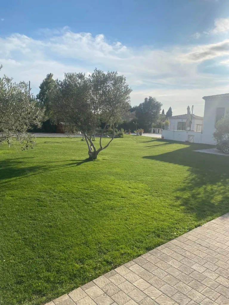 pose de semis de gazon de 600 m² pour un jadin de maison contemporaine a Berre l'Etang