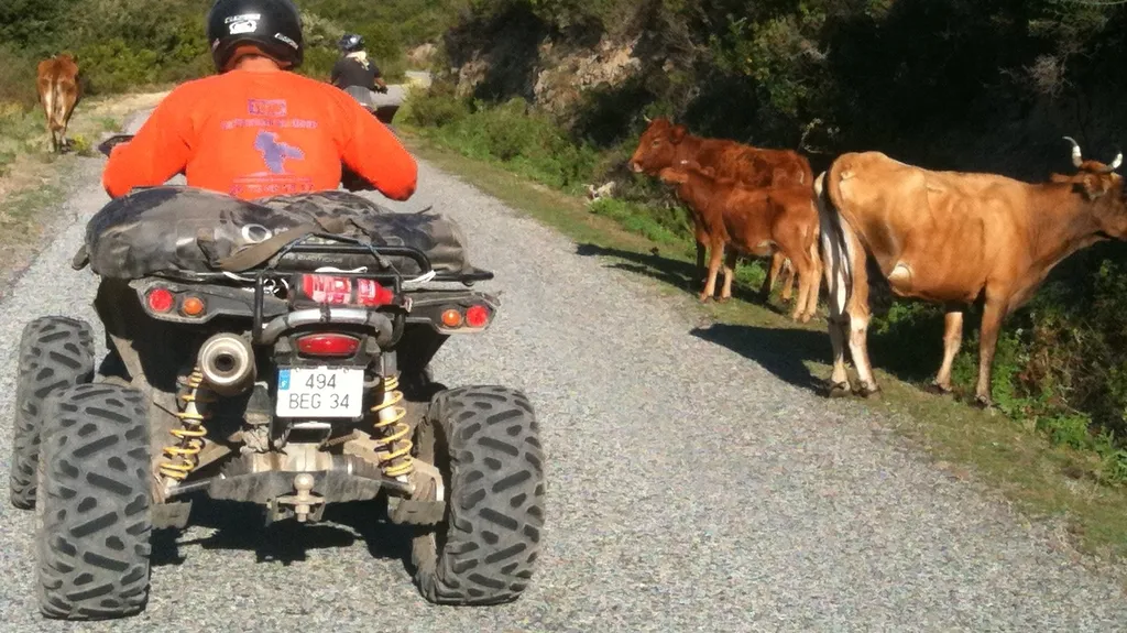 LES EXCURSION à PARTIR DE 6 PERSONNES !!