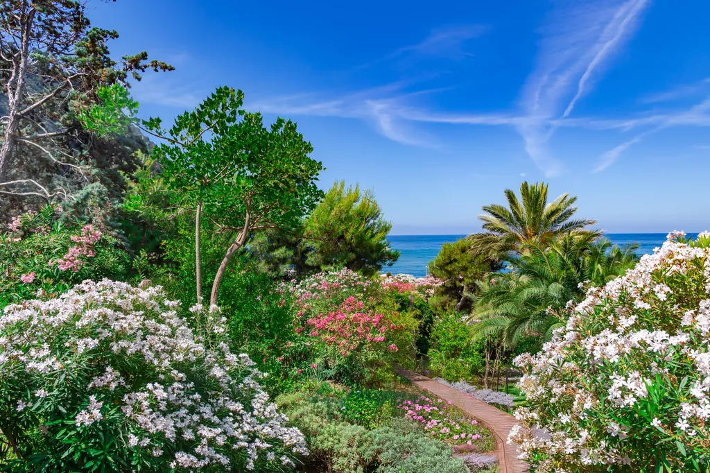 Rénovation de jardin clé en main à Cuges-les-Pins