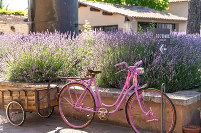 The Musée de la Lavande Luberon in Cabrières d'Avignon, near Gordes
