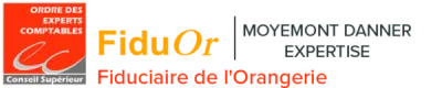 Optimisation de la performance de votre pharmacie avec Fiduor, le cabinet comptable spécialiste à Strasbourg STRASBOURG FIDUOR
