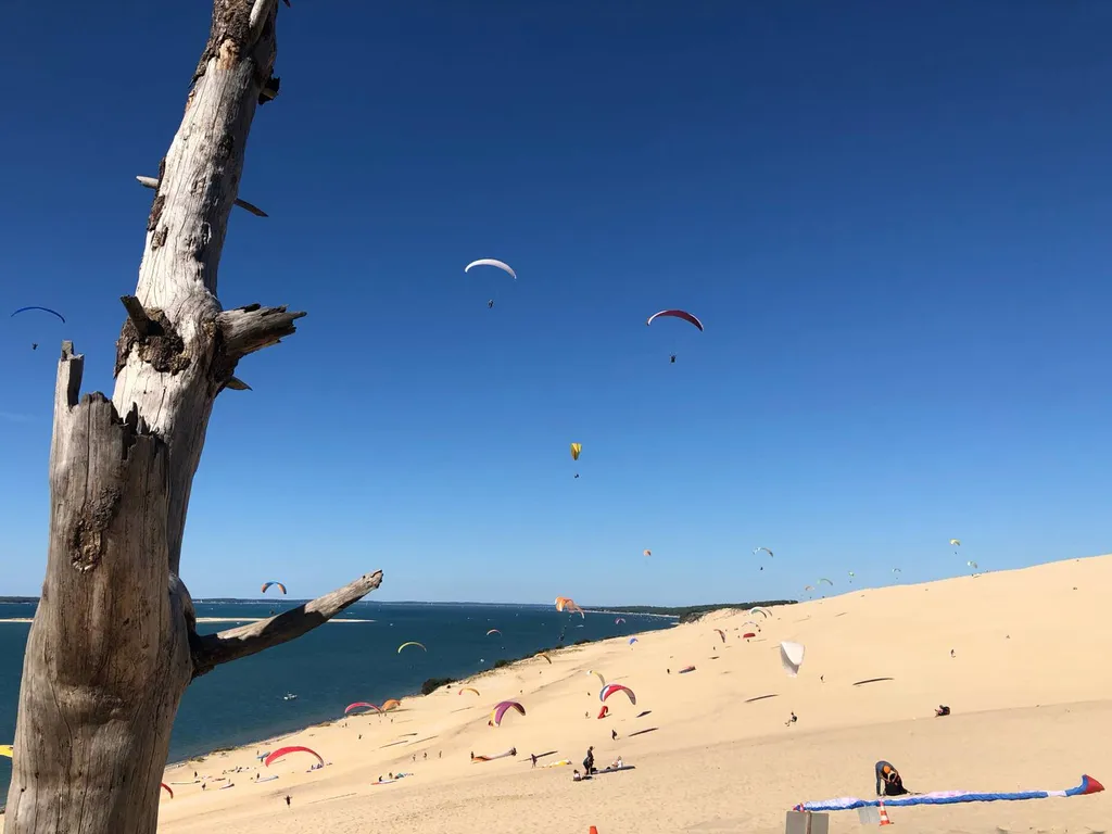 Notre zone d'activité pour ce serviceBalade en pinasse vers l'île aux oiseaux près de Biganos et du Teich