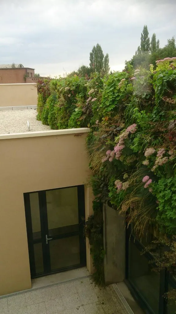 Une solution esthétique et écologique pour votre espace à Sanguinet avec Évolution Paysage