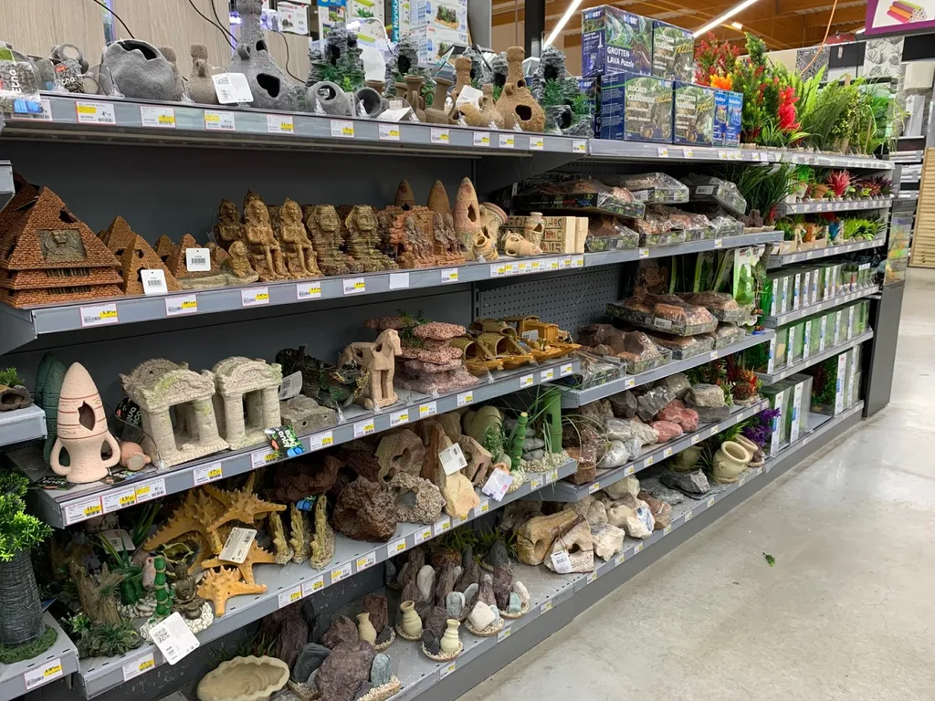 Vente d'aquariums et de produits d'entretien