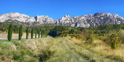 Les plus belles balades dans les Alpilles